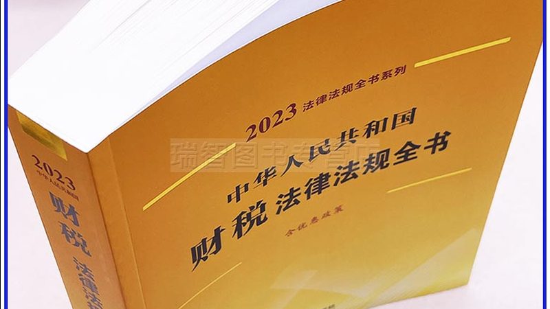 代理记账会计需要做什么账